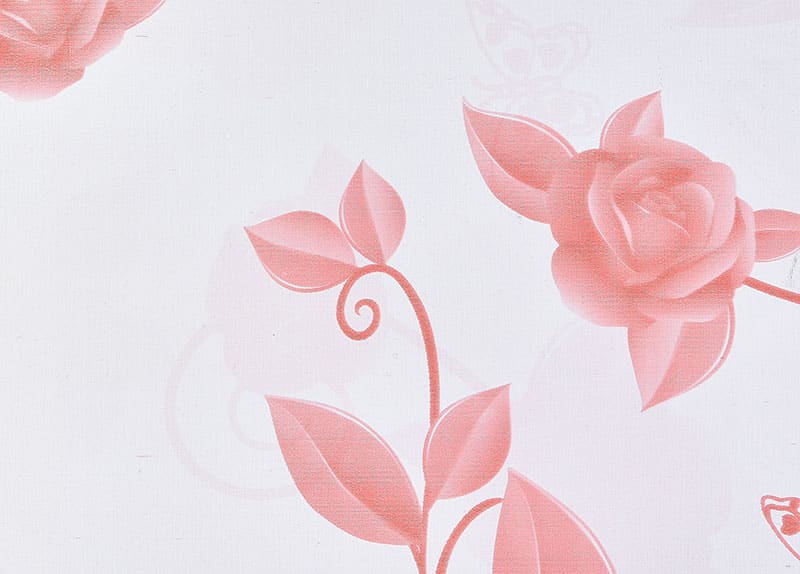 Rose Theme Printed PPGI bevonatú acéltekercs TNF022YP